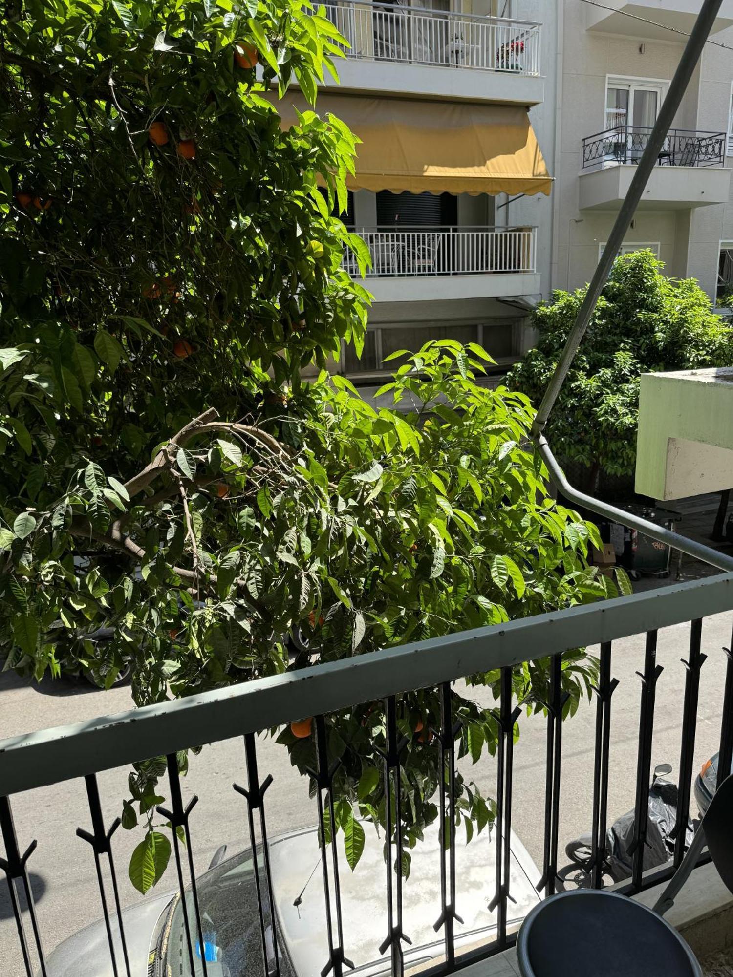 Cozy Apt Next To Acropolis Афины Экстерьер фото
